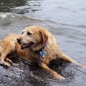 Meet your Posher, Joann